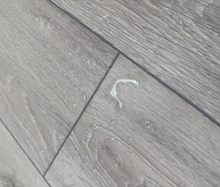 Покрытие SPC Дуб Франклин/Oak Franklin AQ-20