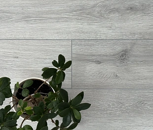 Покрытие SPC Дуб Писсаро/Oak Pissaro AQ-19