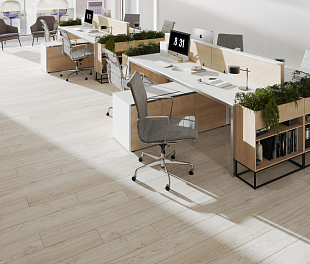 EPL154 Дуб Азгил светлый